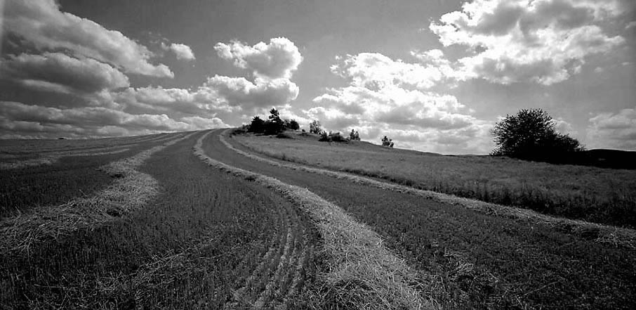 Tedražice 2009 / Nr. 4